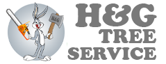H&G Tree Services : Tree trimming and removal